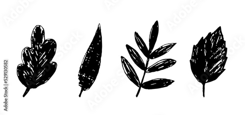 Simple vector drawing with charcoal pencil. Black silhouette of different leaves isolated on white background. Deciduous trees, autumn foliage.