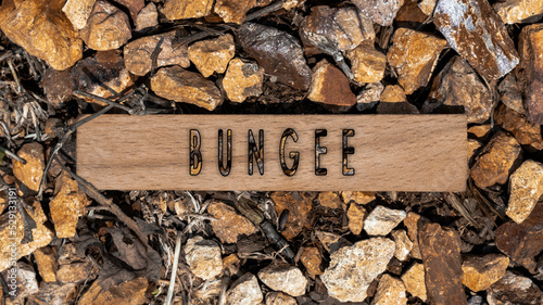 Fotografering Bungee written on wooden surface