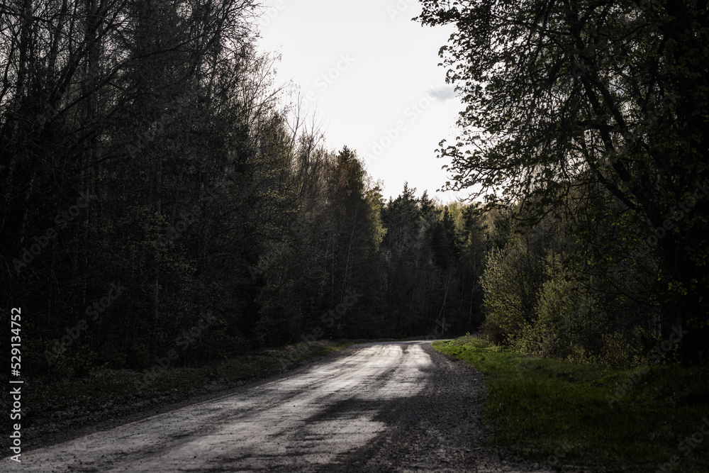 Obraz premium sunlit dirt road in Latvia countryside through dark gloomy forest