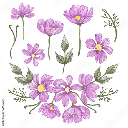 pattern with pink flowers isolated white background