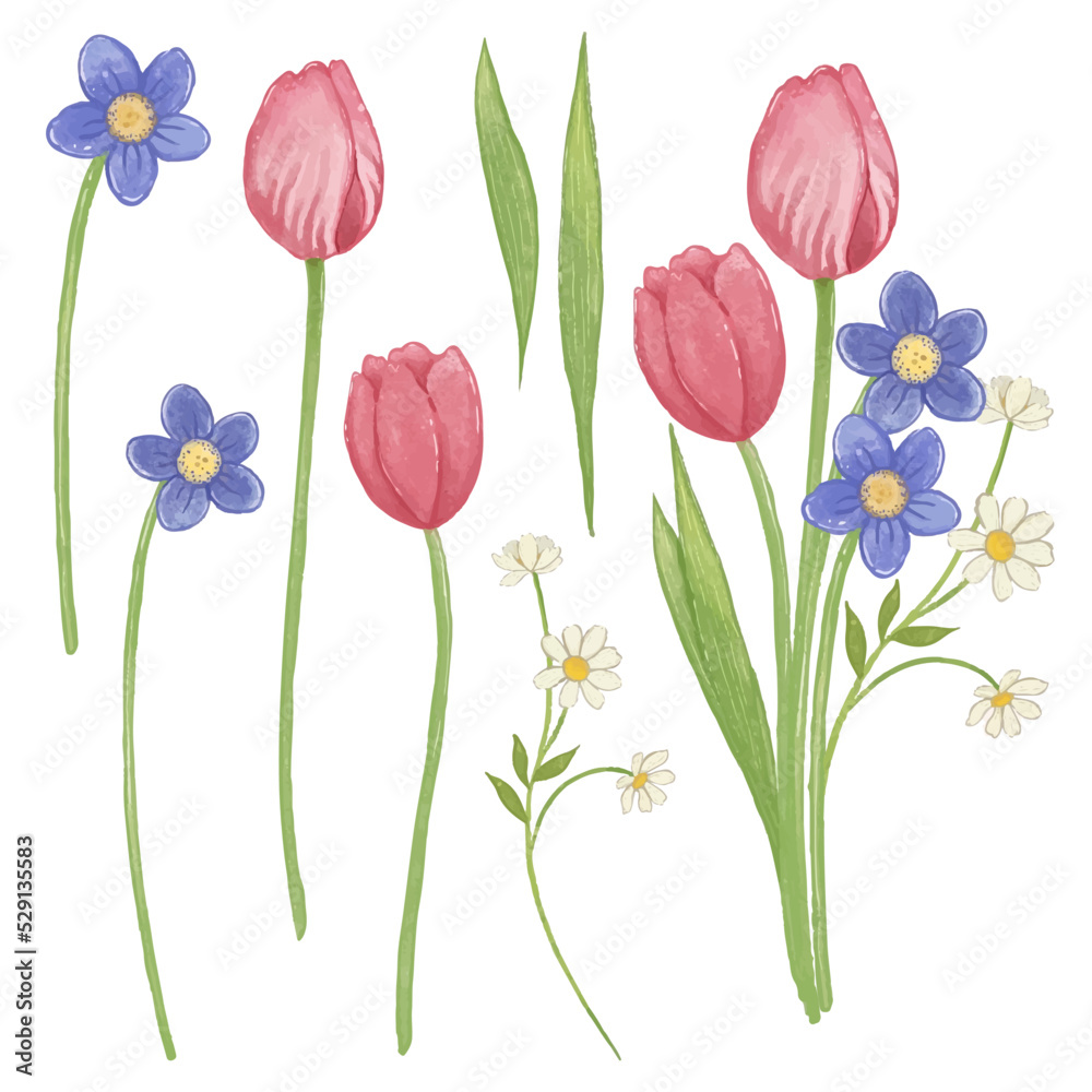 bouquet of tulips vector