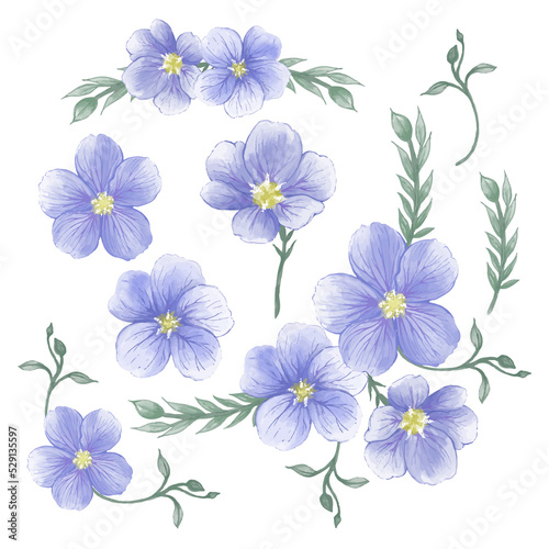 blue purple flowers on white background