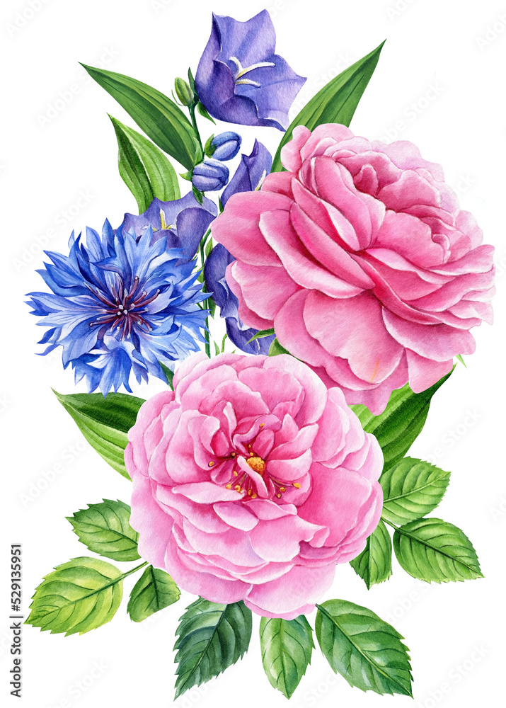 Roses, bluebells, cornflowers and lily. Bud, leaves, flower isolated white background, watercolor botanical painting. 