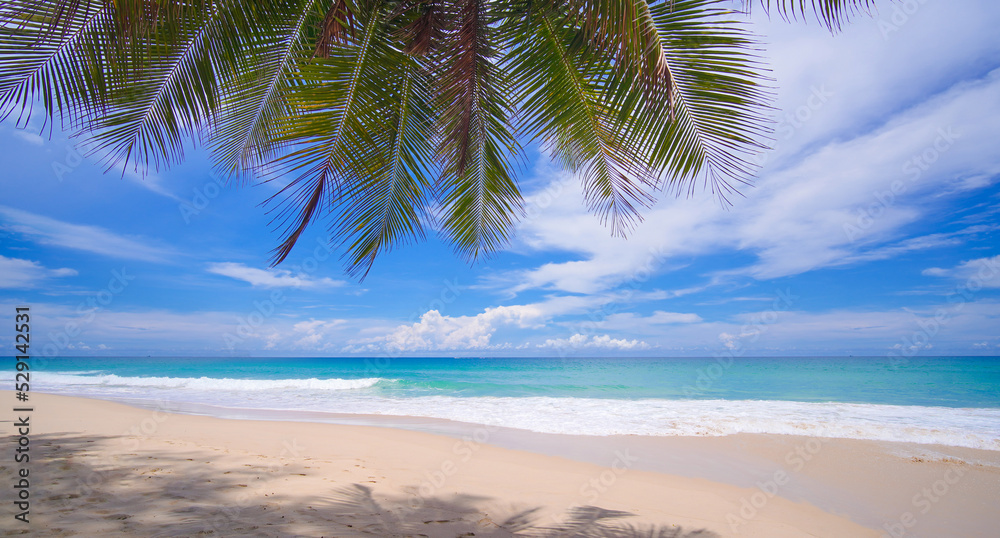 Beach with coconut trees blue sky sunny. Panorama tropical coconut paradise island.