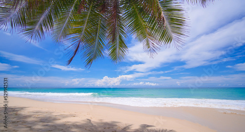 Beach with coconut trees blue sky sunny. Panorama tropical coconut paradise island.