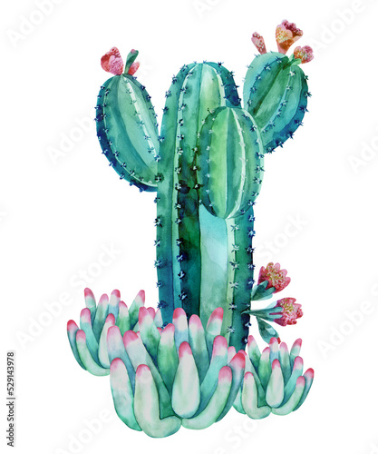 A set of cactus compositions. Watercolor Clipart.