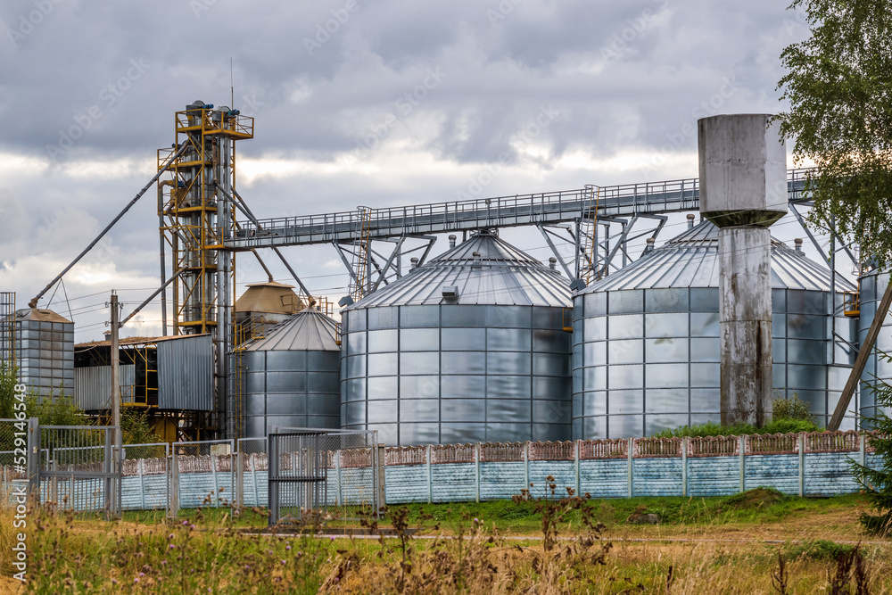 agro silos granary elevator with seeds cleaning line on agro-processing manufacturing plant for processing drying cleaning and storage of agricultural products agro silos granary elevator with seeds cleaning line on agro-processing manufacturing plant for processing drying cleaning and storage of agricultural products
