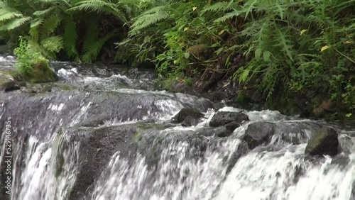 涼し気に癒される日本の滝・群馬県・白糸の滝, japan, gumma,shiraito photo