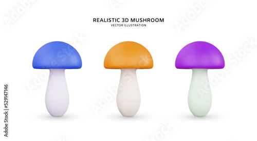 Realistic 3d mushrooms vector illustration