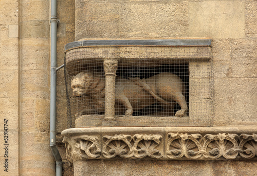 Decorative detail of the exterior of Gothic architecture. Lion sculpture in the wall of St. Stephen's Catholic Cathedral in Vienna. Close-up frontal view