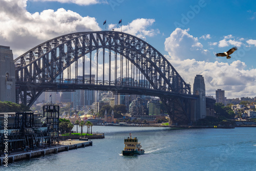 Fototapeta Naklejka Na Ścianę i Meble -  Eagle flying over Sydney Harbour Sydney NSW Australia. 