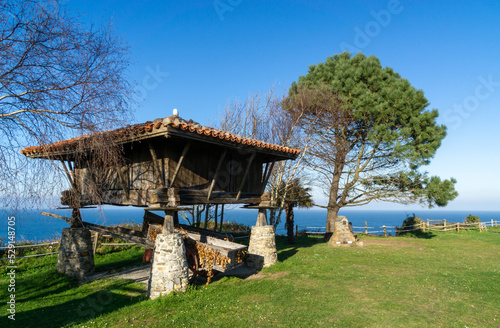 Bonito paisaje con un hórreo típico asturiano. Cadavedo, Asturias, España.