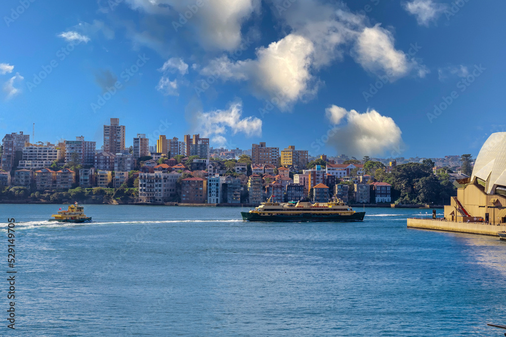 Fototapeta premium Panoramic view of Sydney Harbour NSW Australia beautiful bridge and ferry with Sydney CBD office and apartment buildings in view. Ferry in Sydney Harbour NSW Australia. 