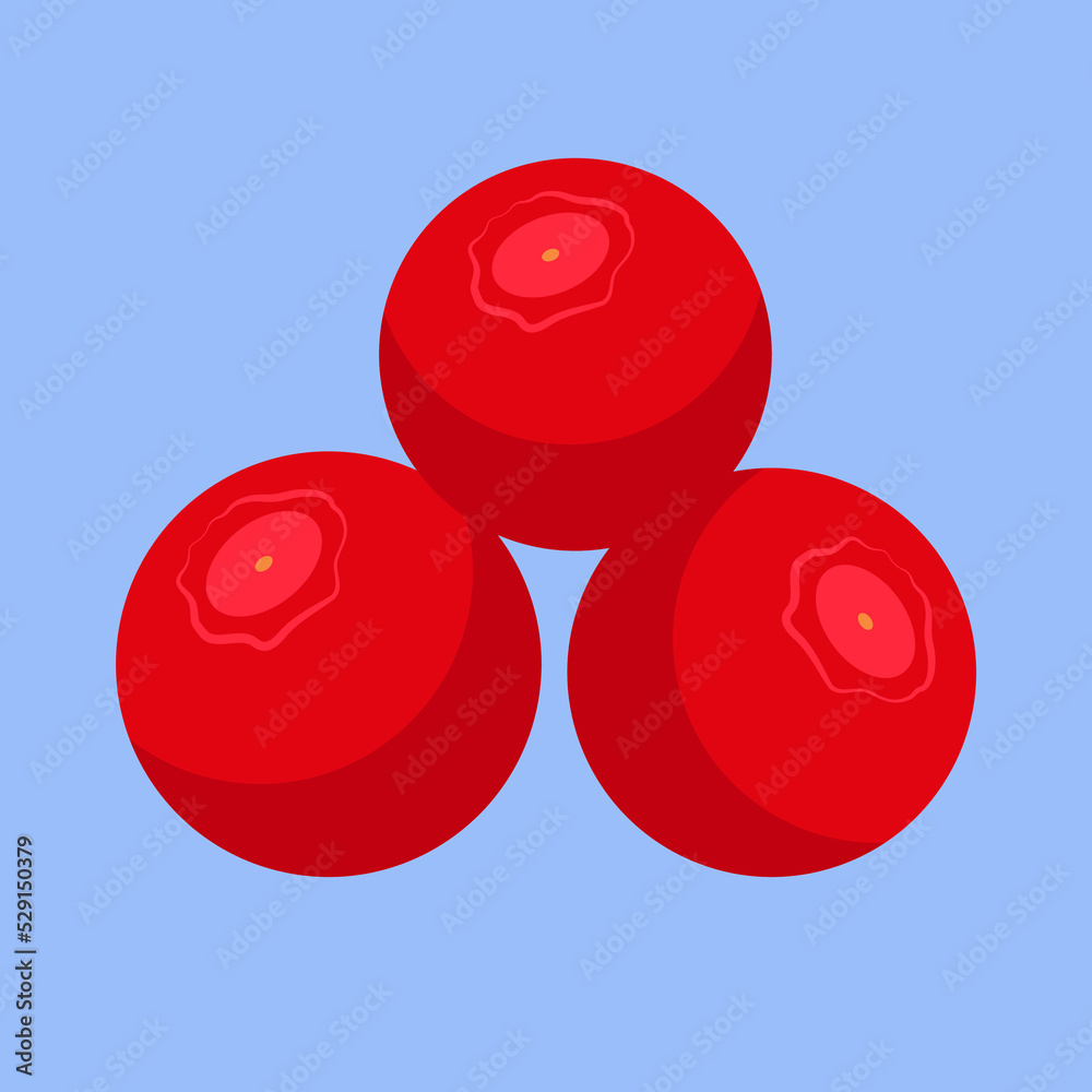 Three viburnum, illustration, vector, cartoon