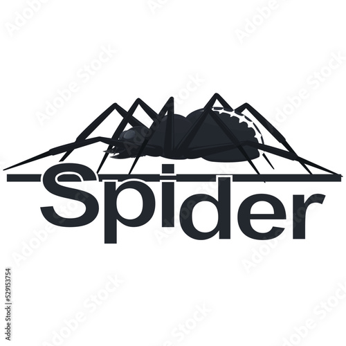 Tarantula spider. Insect, vector illustration