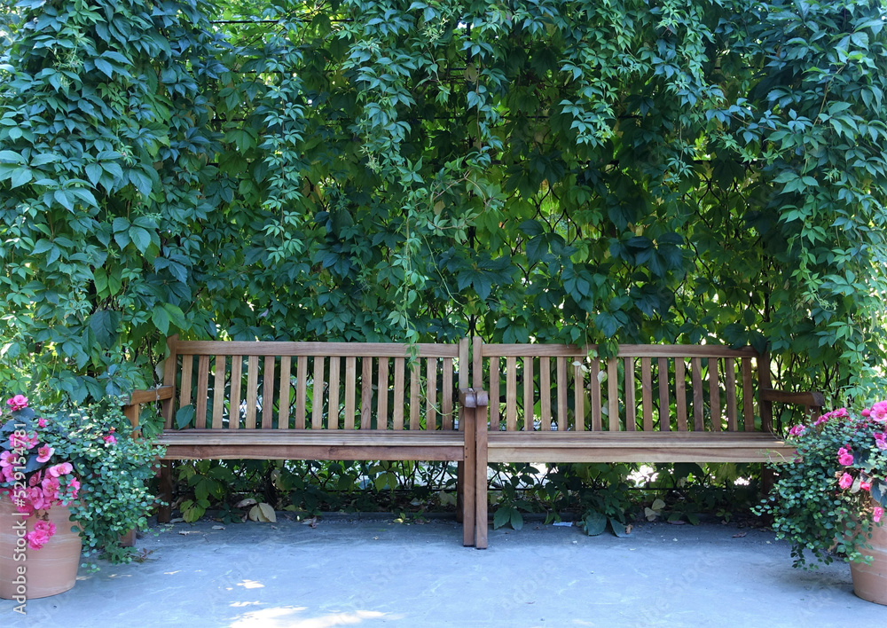 Obraz premium Wooden empty bench in the park