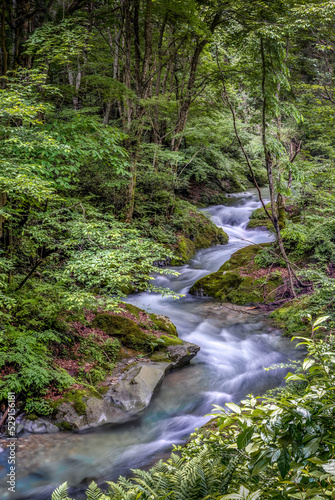 winding river in thick forest in Japan