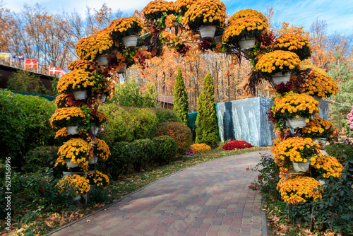 Fotografie, Tablou Beautiful arch of blooming chrysanthemums in a park