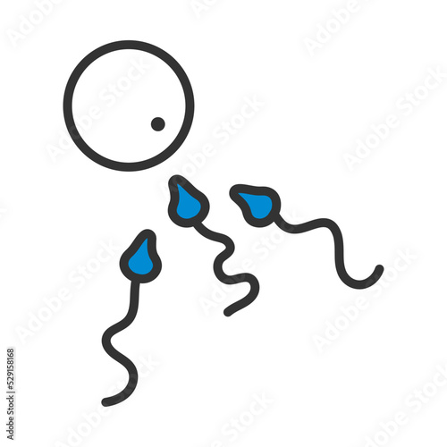 Sperm And Egg Cell Icon