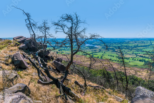 A view of fire damage on the summit of the Roaches escarpment, Staffordshire, UK in summertime