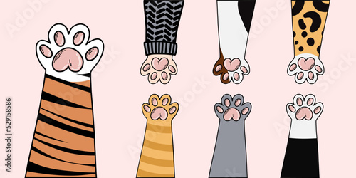 Vector illustration of seven cartoon cat paws. Tiger, Sphynx cat with sweater, wild and domestic cat paws. Doodle illustration sign