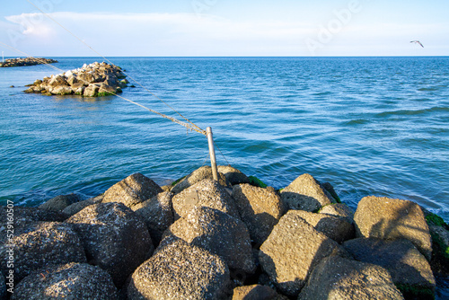 casal borsetti and porto corsini adriatic coast ravenna ferrara regional park of the po delta photo