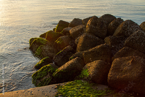 casal borsetti and porto corsini adriatic coast ravenna ferrara regional park of the po delta photo