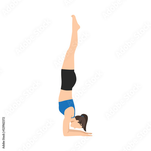 Woman doing Feathered Peacock Pose, Forearm Stand. Practice Pincha Mayurasana. Flat vector illustration isolated on white background