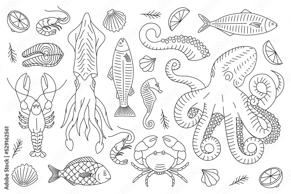 Seafood outline sketch set. Sea animal line banner. Seafood meal menu illustration. Fishes, lobster, squid, octopus, crab, fish fillet.