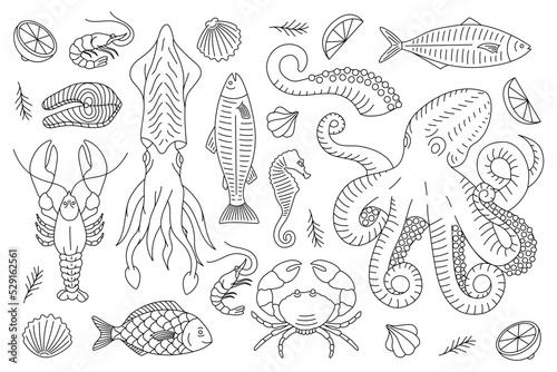 Seafood outline sketch set. Sea animal line banner. Seafood meal menu illustration. Fishes, lobster, squid, octopus, crab, fish fillet.