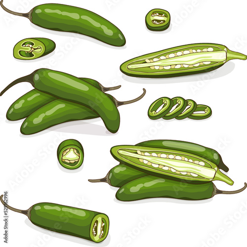 Set of green serrano Chile peppers. Whole, half, sliced and wedges of peppers. Chile serrano. Serrano chilis. Chili pepper. Vegetables. Cartoon style. Vector illustration isolated on white background.