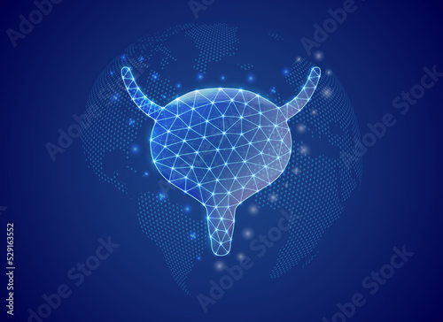 Bladder 3d low poly symbol with blue world map background. Reproductive system concept design vector illustration. Organ anatomy polygonal symbol