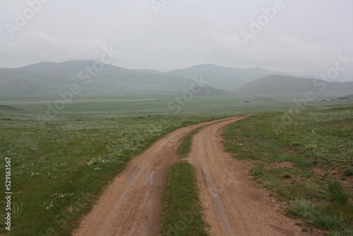 A lonely road in the green and cold steppe, Khuvsgul province, Mongolia. This steppe road is at 1,800 meters (5,905 feet) above sea level.  photo