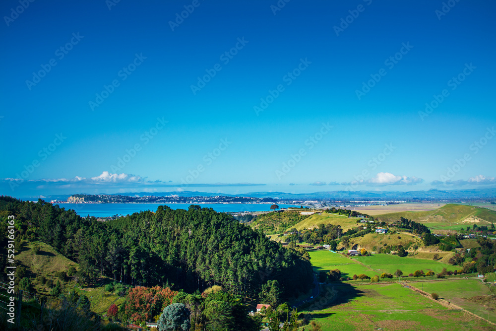 Fototapeta premium Aerial view over the green hills and calm blue sea behind. Beautiful day at Hawkes Bay, New Zealand