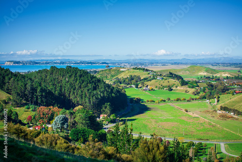 Majestic view over farmhouse amongst lush meadows by green hills. Beautiful autumn day at a seaside region of Hawkes Bay  New Zealand