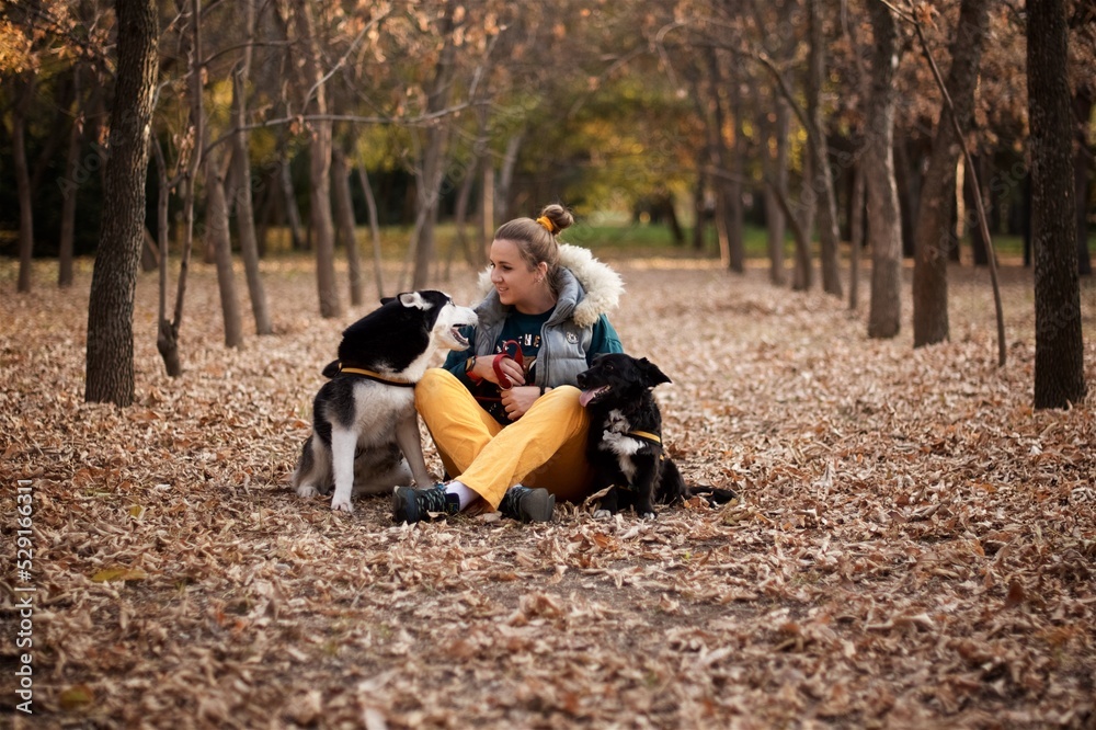 Very smiling European young woman in the yellow pants sitting on the ground in the autumn park and hugs two dogs
