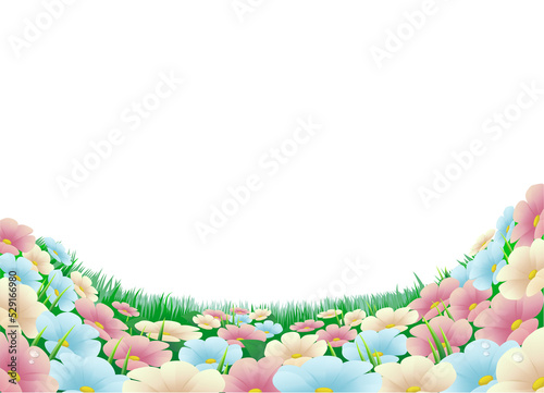 Flower meadow illustration