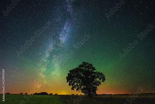 Night landscape with colorful Milky Way and an Oak tree