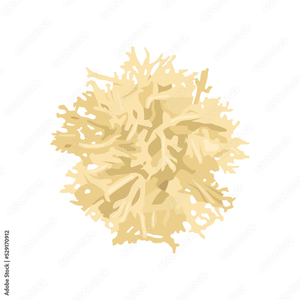 Irish Moss/Carrageen Blad Biologisch (Wild Irish Seaweed) 40 gram