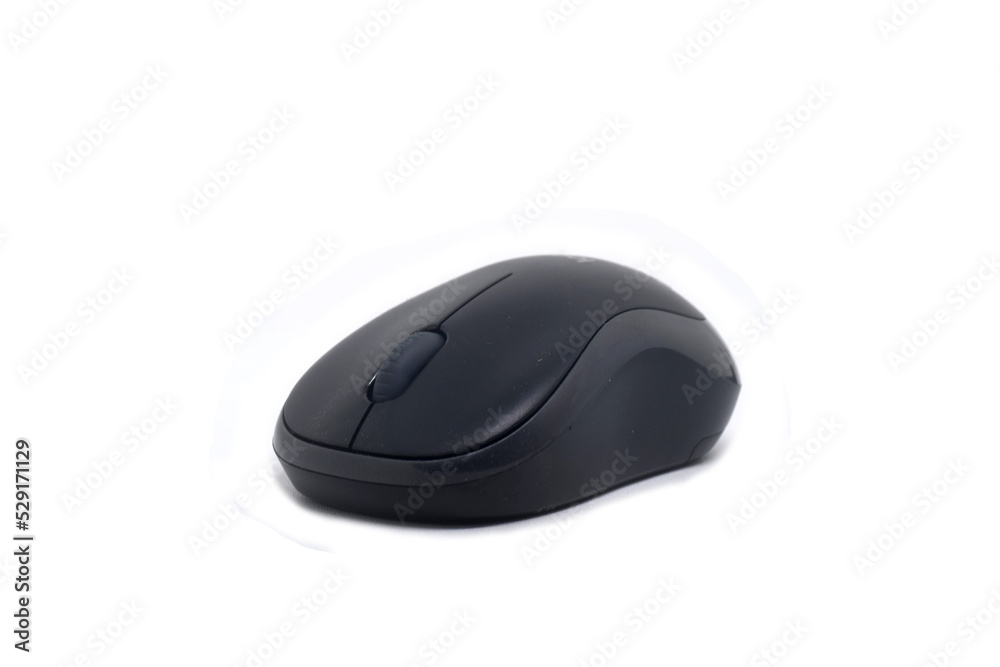 Isolated mouse photo on a white background Isolated mouse photo on a white background