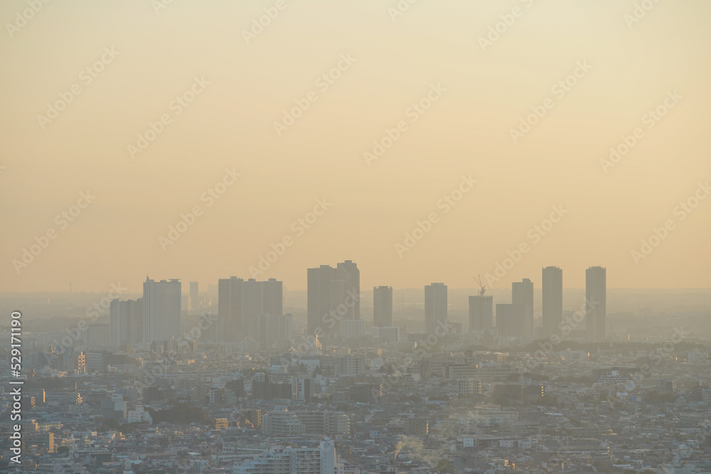 Fototapeta premium 東京の景色