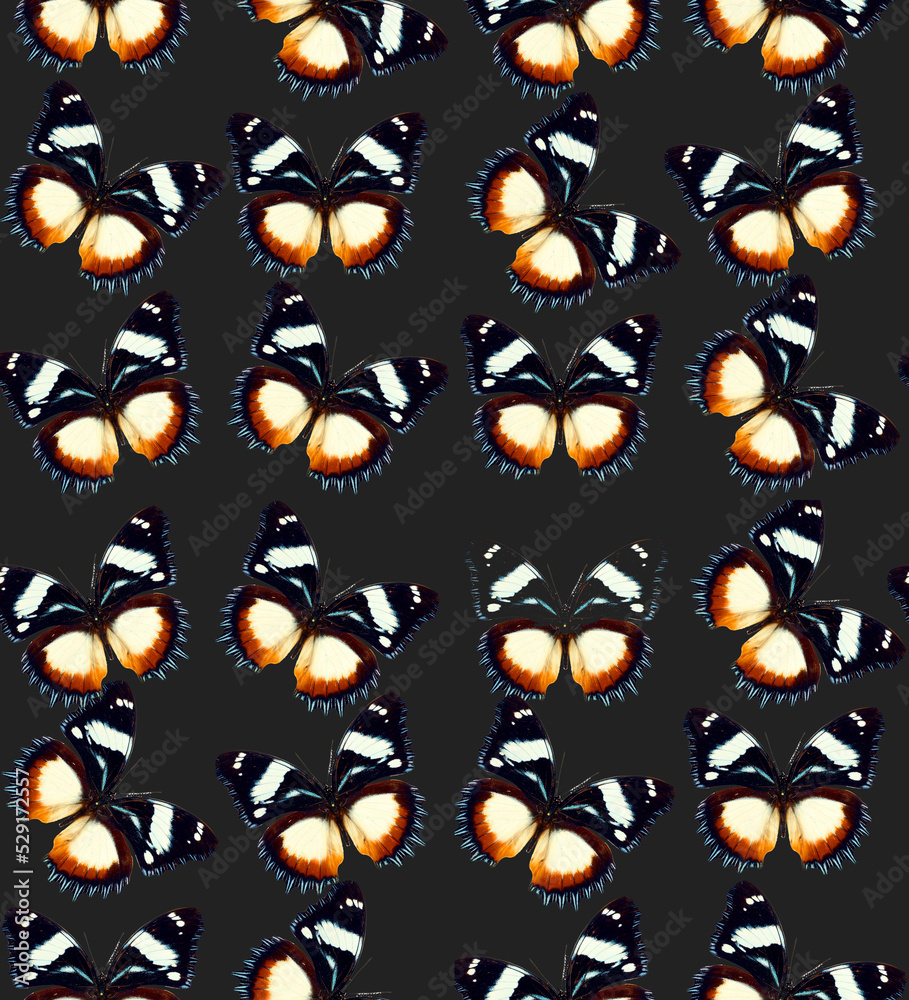 Fototapeta premium Seamless pattern colorful butterflies hypolimnas, blue black unusual butterfly texture, colorful background, wallpaper, nature concept
