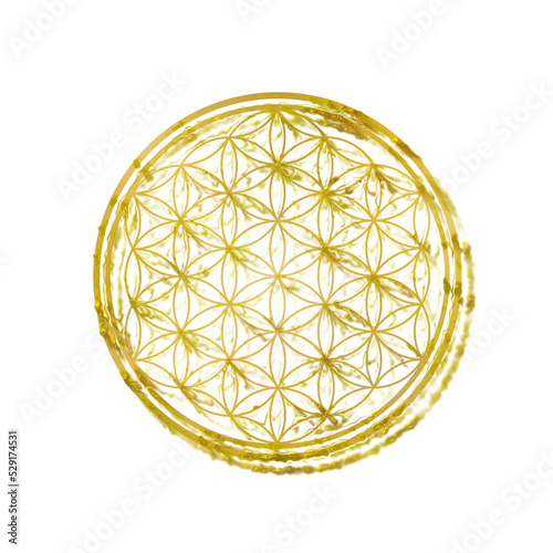 PNG Golden Gold Flower of Life Circle Symbol Sign.Sacred geometry background.Yellow paint round circles icon stamp.Meditation.Mandala.T shirt print design.Wall Decoration element.