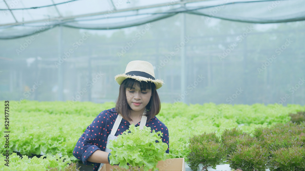 agriculture concept of 4k Resolution. Asian woman explaining about organic vegetable cultivation. Gardener's Confidence.