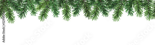 Decorative seamless christmas pattern or frame with green coniferous branches