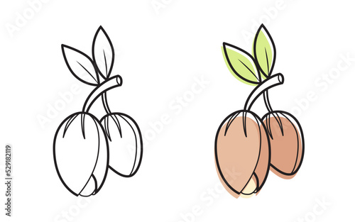 Argan icon isolated on white background.