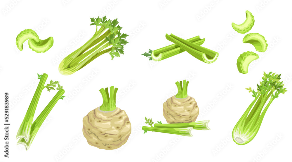 Celery set. Cartoon style. Roots and stems, whole and cuts with flying elements Farm fresh vegetable icons. Vector illustrations isolated on white background. Celery set. Cartoon style. Roots and stems, whole and cuts with flying elements Farm fresh vegetable icons. Vector illustrations isolated on white background.