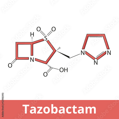 Tazobactam. A pharmaceutical drug that inhibits the action of bacterial β-lactamases, especially those belonging to the SHV-1 and TEM groups. Chemical structure. photo