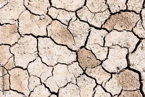 Tierra agrietada debido a la sequía y al cambio climático
