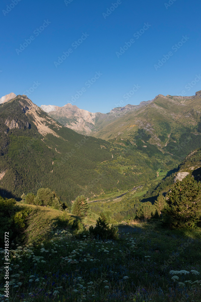 green valley in the spanish pyrenees